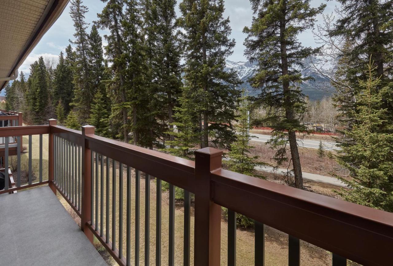 Newly Renovated Grizzly Lodge, Spacious 3Br 2Ba With Open Pool, Hot Tub Κάνμορ Εξωτερικό φωτογραφία