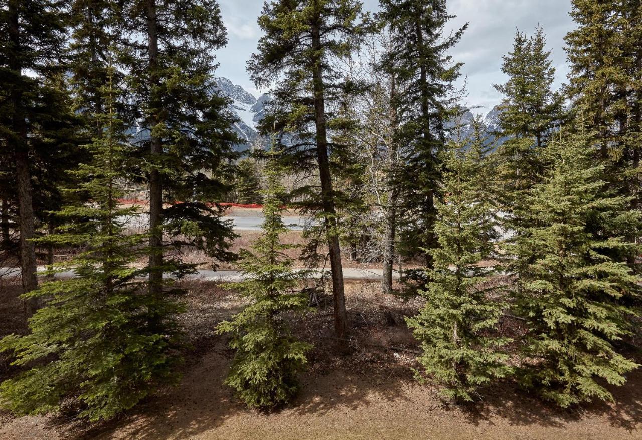 Newly Renovated Grizzly Lodge, Spacious 3Br 2Ba With Open Pool, Hot Tub Κάνμορ Εξωτερικό φωτογραφία
